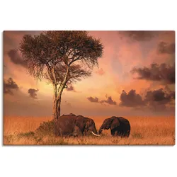 Wandbild ARTLAND "Elefanten zum Abendessen", orange (farbe bild(er): orange), B:30cm H:20cm T:1,8cm, Canvas, Leinwand, Bilder, als Leinwandbild, Wandaufkleber in verschied. Größen