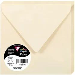 Pollen 200x Umschlag Pollen 120x120mm 120g - Elfenbein 12017C