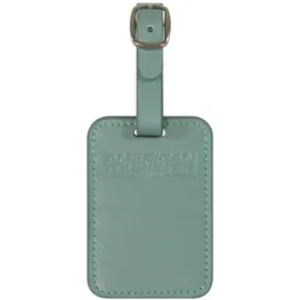 American Tourister Gepäckanhänger - Kofferanhänger für Koffer und Taschen, mit verstellbarem Riemen, inklusive Adresskarte, Set aus 2 Stück, Grün (Iceberg Green)