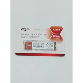 Silicon Power Ace A55 256 GB M.2