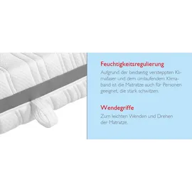 Badenia Trendline 7-Zonen-Kaltschaummatratze BT 320 Plus Gel Active 140 x 200 cm H4