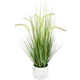 Flair Flower Künstliches Fuchsschwanzgras mit Übertopf Gras Kunstpflanze Kunstgras Ziergras Grünpflanzen Dekogras Grasbüschel Ziergras Solitärgras Deko Borstenhirse Süßgräser Federborstengras Lampenputzergras