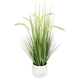 Flair Flower Künstliches Fuchsschwanzgras mit Übertopf Gras Kunstpflanze Kunstgras Ziergras Grünpflanzen Dekogras Grasbüschel Ziergras Solitärgras Deko Borstenhirse Süßgräser Federborstengras Lampenputzergras