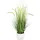 Flair Flower Künstliches Fuchsschwanzgras mit Übertopf Gras Kunstpflanze Kunstgras Ziergras Grünpflanzen Dekogras Grasbüschel Ziergras Solitärgras Deko Borstenhirse Süßgräser Federborstengras Lampenputzergras