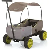 hauck Toys for Kids Bollerwagen Eco Mobil - faltbar mit Dach,