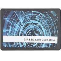 Zunate Solid State Drive, Portable High-Speed ​​SATA3 2,5 Zoll SSD 8GB 16GB 32GB 60GB 120GB 240GB 480GB 1TB 2TB Festplatte,Automatische Erkennung,für Desktop-Computer Laptops PC(32 GB)
