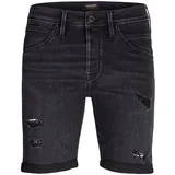JACK & JONES JJIRICK JJFOX Shorts AM 310 SN