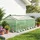 Outsunny Foliengewächshaus Kunststoff Grün 180 x 90 x 70 cm