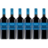 6x Primitivo Terrecarsiche, 2021 - Weingut Terrecarsiche 1939, Puglia! Wein