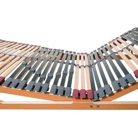erbengemeinschaft heinz-peter fischer, fmp matratzenmanufaktur Rhodos 7 Zonen Lattenrost Kopf- und Fußteil verstellbar 100 x 220 cm