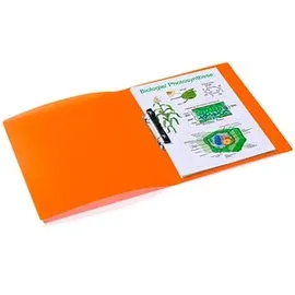 Herma Ringbuch DIN A4 25 mm transluzent Orange 1 St.