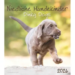 Niedliche Hundekinder - Kalender 2026