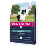 Eukanuba Adult kleine & mittelgroße Rassen Lamm & Reis 2 x 12 kg