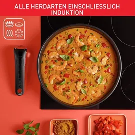 Tefal Ingenio Emotion Topf-Set 20-tlg. 4 x Topf + 4 x Pfanne + 2 x Deckel