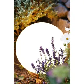 8 seasons DESIGN 32416L Beleuchtungsdekoration