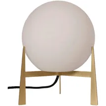 PR Home Milla Gold