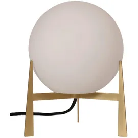 PR Home Milla Gold