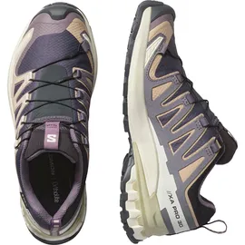 Salomon XA Pro 3D V9 GTX Damen Nine Iron/Oxford Tan/Alfalfa 38