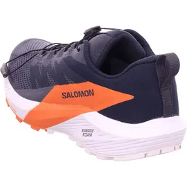 Salomon Sense Ride 5 GTX für Herren Trailrunningschuhe, grau, 47 EU -
