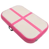 vidaXL Aufblasbare Gymnastikmatte mit Pumpe 60x100x20 cm PVC Rosa