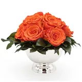 ROSEMARIE SCHULZ Heidelberg Infinity Blume in silberfarbenen Becher ewige Rose konserviert Blumenstrauß langhaltend (Orange, 11 Rosen)