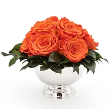 ROSEMARIE SCHULZ Heidelberg Infinity Blume in silberfarbenen Becher ewige Rose konserviert Blumenstrauß langhaltend (Orange, 11 Rosen)
