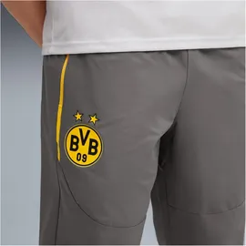 Puma 51564802 Hose Grau