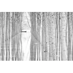 Fototapete PAPERMOON "Photo-Art AGLIONI SIMONE, BEWEGUNGSFREIHEIT", bunt, B:4,50m L:2,80m, Vlies, Tapeten