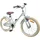 vidaXL Kinderfahrrad 20 Zoll Hellgrün