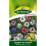 Quedlinburger Jungfer im Grünen, Mischung