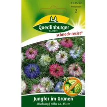 Quedlinburger Jungfer im Grünen, Mischung