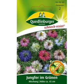 Quedlinburger Jungfer im Grünen, Mischung