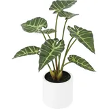 Künstliche Alocasia - Svannah | 59 cm
