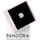 Pandora Liebesknoten Silber 798035