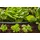 Gardena Verlegerohr 13 mm (1/2") (1346-20)