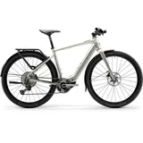 Centurion Speeddrive R2000 D EQ 28 Zoll RH 50 cm Unisex vintage grau
