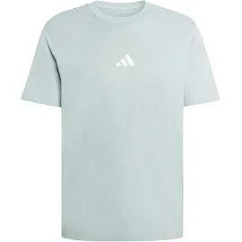 adidas Essentials Small Logo Single Jersey T-Shirt wonder sage/white XXL