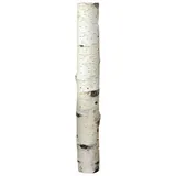 iWerk Birkenholzsticks 100% Natur 40 Cm Kisten- Und Palettenmöbel