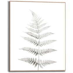 Bild REINDERS "Farn Pflanz - Natur - Botanisch", grün (farbe bild(er): khaki), B:40cm H:50cm, Holzwerkstoff, Bilder