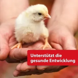 Quiko Hobby Farming Eifutter - 500 g