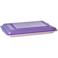 RICE Lebensmittelbox Aufschnitt Käse Kühlschrank, 470 ml 25 x 17 x 4 cm, lila
