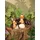 Teddys Rothenburg Dino Orny 25 cm Braun