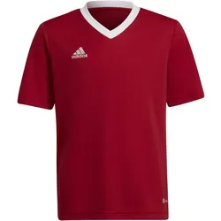 adidas Entrada 22 Trikot Kinder tepore 164