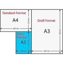 DataCopy Everyday Printing A5 80 g/m2 500 Blatt