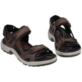 ECCO Offroad Herren espresso/cocoa 43