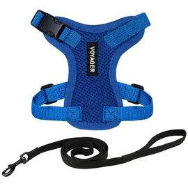 Best Pet Supplies Voyager Step-in Lock Katzengeschirr und reflektierende Katzenleine mit Neoprengriff by Best Pet Supplies - Unterstützt kleine, mittelgroße und große Katzenrassen, Königsblau, size S - 1,5 m