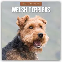 Brown trout-auslieferer flechsig Welsh Terriers - Welsh Terrier 2026