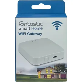 Fontastic WLAN Smart Home Gateway 1 St. Weiß