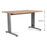 Rocada Schreibtisch Eiche grau