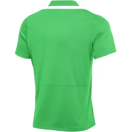 Nike Academy Pro 24 Poloshirt grün F329